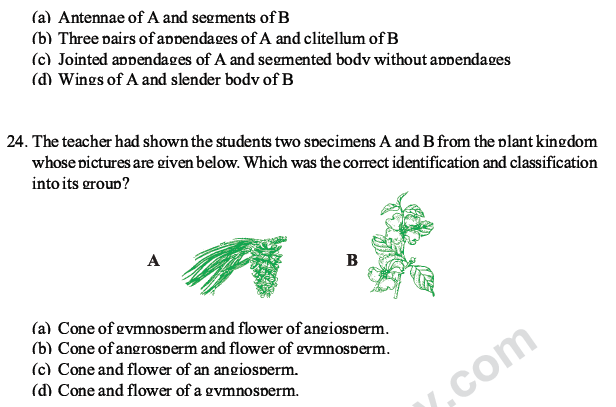 CBSE Class 10 Science MCQs Set 1, Multiple Choice Questions